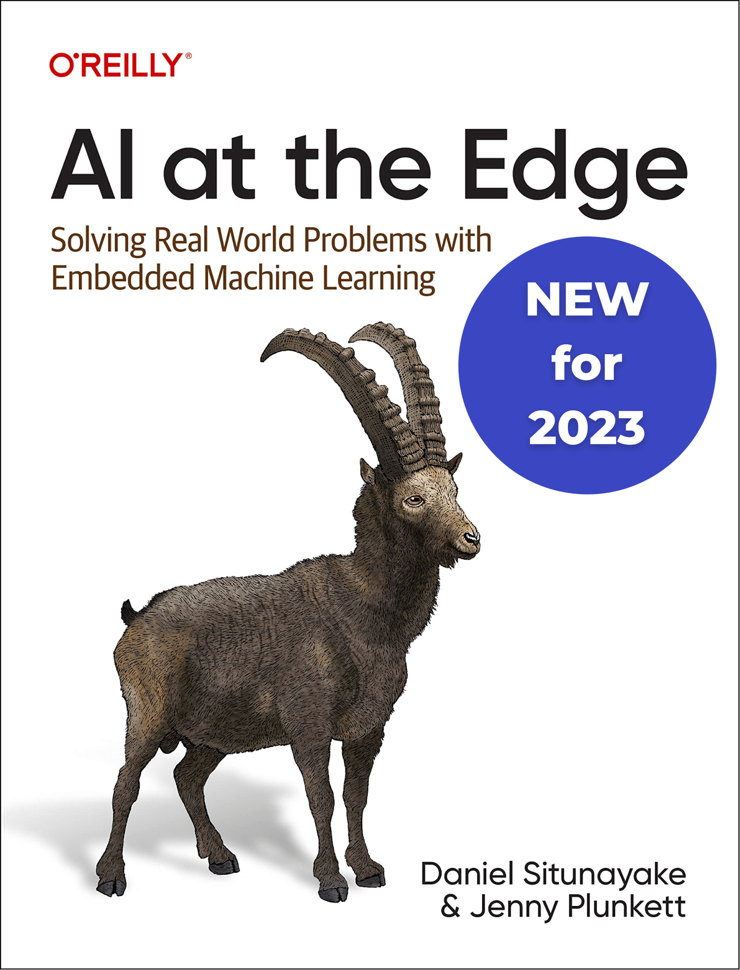AI at the Edge eBook